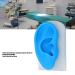 Ear Model ANGGREK Display Ear Model Soft Ear Modeling Tools Teaching Ear Model Elastic Ear Shaping Aids for Showing Learning and Assisting - Buy Online on SooperMarket.com