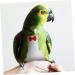 Buy PopetPop Flying Bird Diapers - Stylish Sittich-Outfit Bowknots for Parrots & Pigeons | High-Quality Cotton Bird Clothing 22x12cm - Buy Online on SooperMarket.com