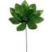 Vickerman 705308-22" Black Velvet Sheen Glitter Trim Poinsettia Spray (4 Pack) (RG223317) - Buy Online on SooperMarket.com