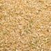 Wholefood Earth Organic Long Grain Brown Rice 3kg - GMO Free, Vegan, Source of Fibre - Certified Organic - Buy Online on SooperMarket.com