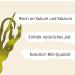 Algae Shop Bio Kombu Leaves - 100g | Edible Atlantic Algae for Dashi | Vegan & Raw Food - Buy Online on SooperMarket.com