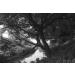 Hoya 82mm R72 Infrared Glass Filter for Superior Photography Results - Buy Online on SooperMarket.com