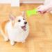 Fofuyim 2Pcs Tick Remover Tick Remover with magnifier Tick Remover Card Tick Remover Tools for Dogs - Buy Online on SooperMarket.com