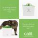Catit Senses 2.0 Flower Fountain | Green Cat Drinking Water Fountain - Buy Online on SooperMarket.com
