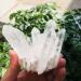 350g-900g Natural Clear Quartz Stone White Crystal Cluster 1pc HOMEZHOU (Color : 1pc 510g-560g) - Buy Online on SooperMarket.com