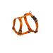 Nobby Harness Classic orange chest: 70/90 cm width: 25 mm 1 piece orange length 70-90 cm width 25 mm
