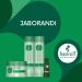 Haskell Jaborandi Collection Carqueja and Vitamin A Hydration Mask 250g (8.81 oz) - Buy Online on SooperMarket.com