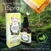 Immune booster/ Immune System Support/ Sore Throat/ Great for Cold & Flu Symptoms - Official Distributor - 5 bottles of Apiario Silvestre Brazilian Green Bee Propolis Spray Glycolic Extract-Non Alcoholic Wax Free Sugar Free - Buy Online on SooperMarket.com