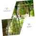 Kisangel 5pcs Vegetable Mold Ginseng Melon Shaping Multi-Function Fruit Mold Gourd Shaper - Buy Online on SooperMarket.com