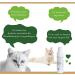 Buy LT Nature Products Bio-Katzenshampoo for White Fur | Hypoallergenic Soap-Free Cat Shampoo | 250ml | Anti-Itching Care - Buy Online on SooperMarket.com