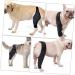 GANAZONO Dog Hindleg Cover Dog Knee Leg Canine Rear Hock Hind Leg Mesh Fabric Comfortable M 1 - Buy Online on SooperMarket.com