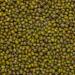Organic Mung Beans 2kg - GMO Free, Vegan, High Fibre & Protein | Certified Organic | Wholefood Earth - Buy Online on SooperMarket.com