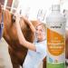 Buy Awiwa Odor Neutralizer & Cat Urine Stain Remover (1L) - Effective Pet Odor Control for Dogs & Cats | International Shipping Available - Buy Online on SooperMarket.com