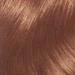 Buy Healthy Look Light Brown Chocolate Praline - International Shipping Available - Buy Online on SooperMarket.com