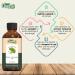 Belleric Myrobalan Oil | Pure & Natural Essential Oil for Skincare & Hair Care - 30ml | Buy Online Internationally - Buy Online on SooperMarket.com