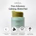 HANYUL Pure Artemisia Calming Toner Pads - Deep Moisturizing Quick Soothing Facial Pads for Redness Relief | Cica & Herb Extracts | Korean Pre-Makeup Skin Care - 60 Sheets 5.74 Fl Oz - Buy Online on SooperMarket.com