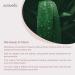 Auravedic Kumkumadi Oil 100ml - Natural Beauty Elixir for Glowing Skin - Buy Online on SooperMarket.com