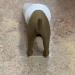Pooping Dog Butt Toothpaste Topper Pooping Dog Butt Toothpaste Cap Pooping Dog Butt Toothpaste Dispenser Baby Toothpaste Dispenser Toothpaste Topper Dog Pooping Toothpaste Cap Prank Gift - Buy Online on SooperMarket.com