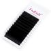 Fadlash Easy Fan Lashes D Curl 0.05 9-17mm Mixed Length Russian Lashes - Natural Look Self Fanning Eye Lashes - Automatic Blooming Eyelash Extensions - Buy Online on SooperMarket.com