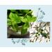 Officina Naturae Solara Dishes Detergent Solid Peppermint Organic Sustainable Vegan Plastic Free 180g - Buy Online on SooperMarket.com