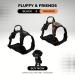 Reflective Dog Harness for Small & Medium Dogs - Nylon Breathable Mesh - Ideal for Training Puppies - Size M (Black) - Buy Online on SooperMarket.com