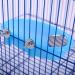 QBLEEV Bird Baths Tub with Mirror - Parrot Birdbath Shower Accessories for Small Birds and Parrots - Buy Online on SooperMarket.com