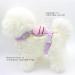 Qixuer Adjustable Rabbit Leash & Crockery Set - Breathable Harness for Small Animals Hamsters Puppies & Cats - Buy Online on SooperMarket.com