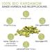 Premium Organic Wild Green Cardamom Whole & Capsules - Handpicked 100g | Pfefferdieb - International Shipping - Buy Online on SooperMarket.com