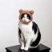 WLLHYF Cute Cat Winter Warm Bear Hat Soft Comfortable Adjustable Small Pet Headwear Costume Clothes for Cat Kitten Puppy Dog(Brown) - Buy Online on SooperMarket.com