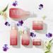 Jurlique Herbal Recovery Signature Face Cream | Moisturizing Facial Moisturizer - Buy Online on SooperMarket.com