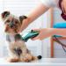 BestBomg Pet Clipper Set - 2 Piece with Removable Stainless Steel Blade | Compatible with Easter Animal Cutter & Andis Dognot - International Shipping Available - Buy Online on SooperMarket.com