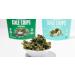 Rhythm Superfoods Kale Chips Variety Pack - Original, Zesty Nacho, Kool Ranch, Mango Habanero - 2.0 Oz (Pack of 4) - Organic, Non-GMO, Vegan, Gluten-Free Superfood Snacks - Buy Online on SooperMarket.com