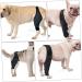 CORHAD Pet Injury Knee Puppy Brace Elbow and Knee Pads Dog Knee Cover Butter Care L As Shown - Buy Online on SooperMarket.com