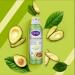 Duru Avocado Moisturizing Spray Lotion - 48 Hour Hydration for Dry Skin Repair | Body Moisturizer with Superfood Avocado Oil | Skin Care for Women, Men, Kids - Buy Online on SooperMarket.com