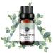 Eucalyptus Essential Oil 100% Pure Natural Aromatherapy Eucalyptus Oil for Diffuser (10ML)