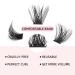 78pcs Crislashes DIY Individual Lashes D Curl Mix 8-16mm - Reusable, Lightweight, Dramatic Look Lashes - Home Use (H-D Curl Mix 8-16mm) - Buy Online on SooperMarket.com