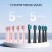 PHYLIAN Sonic Electric Toothbrush 2 Pack for Adults and Kids - High Power Rechargeable Toothbrushes in Black and Pink - 3 Hour Fast Charge for 60 Days - Buy Online on SooperMarket.com