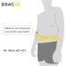 Bracoo Waist Trimmer Wrap - Sweat Sauna Slim Belly Belt for Men and Women | Abdominal Waist Trainer for Weight Loss & Core Stability | Metabolic Rate Booster | SE20 - Buy Online on SooperMarket.com