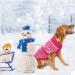 Argyle Dog Sweater - Warm Winter Coat for Small, Medium, and Large Dogs - Pink Pet Clothing for Boys and Girls - Buy Online on SooperMarket.com