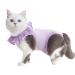 Yeapeeto Cat Recovery Suit After Surgery Bodysuit for Cats, E-Collar Substitute Keep from Licking Abdominal Wounds, Kitten Breathable Clothes, Warm After Shaving S Purple