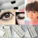 40 Pairs Taiwan Handmade False Eyelashes - Natural Look Transparent Stem 217 Classical Lashes | MZZH14001 - Buy Online on SooperMarket.com