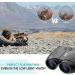 20x25 Compact Binoculars for Adults and Kids - High Power Easy Focus with Low Light Vision - Ideal for Bird Watching and Travel - Black - Buy Online on SooperMarket.com