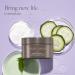 PHA & Vitamin C Exfoliating Face Pads with Antioxidants - 60 Pads - Buy Online on SooperMarket.com