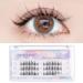 Individual Lashes Manga Lashes Cluster Lashes DIY Eyelashes Extensions Natural Look Wispy Anime Cosplay False Eyelashes with Bottom Lashes Easy to Use for Beginners by Arison Lashes 1 Count (Pack of 1) COS Mini