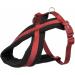 Buy Premium Touring Harness Orchid M - Best Quality & Fast International Shipping - Buy Online on SooperMarket.com