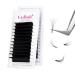 Fadlash Easy Fan Lashes DD Curl 0.05 15-20mm Mixed Length Russian Lashes Natural Look Self Fanning Eye Lashes Automatic Blooming Russian Eyelashes Extensions(0.05-DD-1520) 15-20 mm 0.05-DD