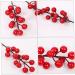 ABOOFAN 30 Pcs Christmas Red Fruit Decoration Artificial Berry Branches Berry Fruit Picks Artificial Berries Branches Christmas Berry Decorations Wedding Foam Banquet Artificial Flower - Buy Online on SooperMarket.com