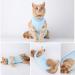 Cat Professional Surgical Recovery Suit Cat Clothes for Abdominal Wounds or Skin Diseases (M Blue) 1.36 kg (Pack of 1) Blue - Buy Online on SooperMarket.com