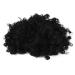 Bnwoinb Black Funky Wig