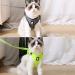 Buy Cat Dishes & Harness Set | Outdoor Leash & Bowls for Cats & Dogs - International Shipping - Buy Online on SooperMarket.com